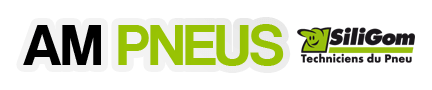 AM PNEUS 83 - logo